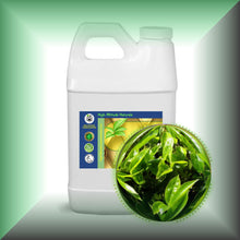 Green Tea Seed Oil for Face, Skin, Hair & Massage - Virgin, in a 64 fl oz jug.