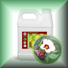 Hibiscus Seed Oil for Face, Skin, Hair & Massage - Virgin, in a 32 fl oz jug.