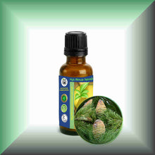 Himalayan Cedarwood Essential Oil (Cedrus deodara) – Aromatherapy, Skin Care & Perfumery in a glass bottle with euro dropper.