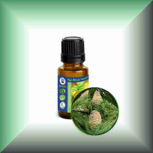 Himalayan Cedarwood Essential Oil (Cedrus deodara) – Aromatherapy, Skin Care & Perfumery in a 15 ml bottle with euro dropper.