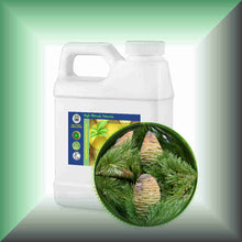 Himalayan Cedarwood Essential Oil (Cedrus deodara) – Aromatherapy, Skin Care & Perfumery in a 32 fl oz jug.