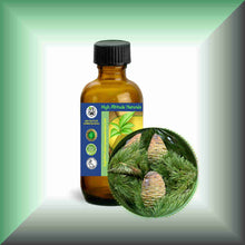 Himalayan Cedarwood Essential Oil (Cedrus deodara) – Aromatherapy, Skin Care & Perfumery in a 2 oz glass bottle with cap.