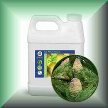 Himalayan Cedarwood Essential Oil (Cedrus deodara) – Aromatherapy, Skin Care & Perfumery in a 32 fl oz jug.