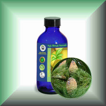 Himalayan Cedarwood Essential Oil (Cedrus deodara) – Aromatherapy, Skin Care & Perfumery in a 4 fl oz bottle with cap