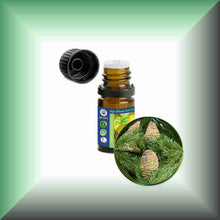 Himalayan Cedarwood Essential Oil (Cedrus deodara) – Aromatherapy, Skin Care & Perfumery  in a 5 ml bottle with euro dropper.