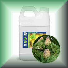Himalayan Cedarwood Essential Oil (Cedrus deodara) – Aromatherapy, Skin Care & Perfumery in a 64 fl oz jug.