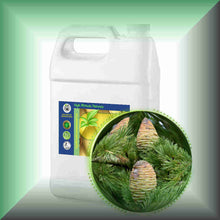 Himalayan Cedarwood Essential Oil (Cedrus deodara) – Aromatherapy, Skin Care & Perfumery in a Gallon jug, bulk, wholesale size.