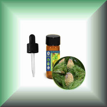 Himalayan Cedarwood Essential Oil (Cedrus deodara) – Aromatherapy, Skin Care & Perfumery  in a drum vial with glass dropper.