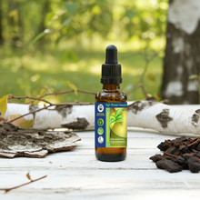 Birch Tar (Betula Alba) Absolute Essential Oil