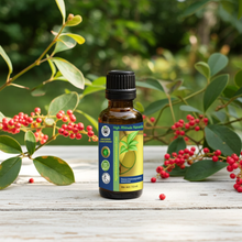 Pink Peppercorn (Pink Pepper, Schinus Molle) Essential Oil