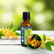Osmanthus Absolute Essential Oil (Osmanthus Fragrans)