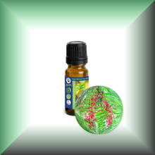 Pink Peppercorn (Pink Pepper, Schinus Molle) Essential Oil