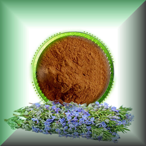 Rosemary Extract Powder 20% Rosmarinic Acid – Water-Soluble Antioxidant for Skin Care, Hair & Serums