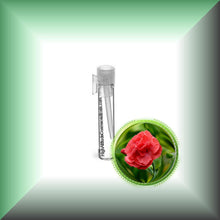 Carnation Absolute Oil (Dianthus Caryophyllus)