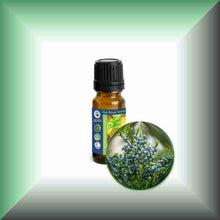Cedarwood Essential Oil (Virginian, Juniperus virginiana) – Aromatherapy, Skin Care & Perfumery in a 10 ml glass bottle with a euro dropper cap.