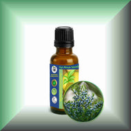 Cedarwood Essential Oil (Virginian, Juniperus virginiana) – Aromatherapy, Skin Care & Perfumery in a 1 fl oz glass bottle with euro dropper cap.