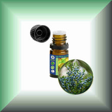 Cedarwood Essential Oil (Virginian, Juniperus virginiana) – Aromatherapy, Skin Care & Perfumery in a 5 ml glass bottle with euro dropper cap.