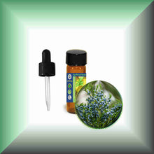 Cedarwood Essential Oil (Virginian, Juniperus virginiana) – Aromatherapy, Skin Care & Perfumery in a glass dram vial.