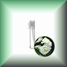 White Rose Essential Oil (Rosa Alba Otto) | Skin Care, Aromatherapy & Natural Perfumery