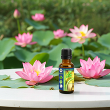 Premium Pink Lotus Absolute (Nelumbo nucifera). Deep, diffusive floral aroma ideal for perfume making, aromatherapy, massage & spiritual rituals.