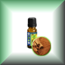 Cinnamon Bark Essential Oil (Cinnamomum verum)