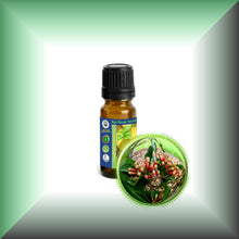 Clove Leaf Essential Oil (Syzygium aromaticum)