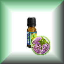 Lilac Absolute Oil (Syringa Vulgaris)