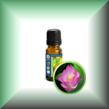 Pink Lotus Absolute Oil (Nelumbo Nucifera)