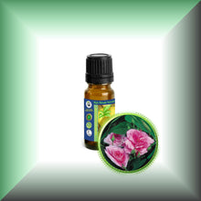 Rose Absolute Oil *Bulgaria* (Rosa Damascena)