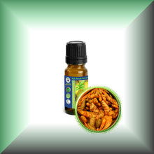 Turmeric Essential Oil (Curcuma Longa)