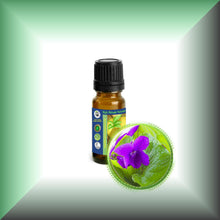 Violet Flower Absolute Essential Oil (Viola odorata)
