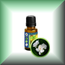 Jasmine Absolute Oil (Jasminum Sambac)