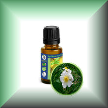 Wild Musk Rose Essential Oil (Rosa Moschata)