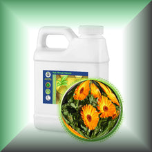 Calendula "Marigold" Absolute Oil (Calendula Officinalis)