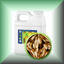 Ginger Root Essential Oil (Zingiber officinale)