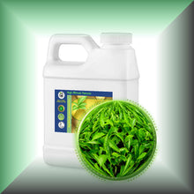 Green Tea Absolute Oil (Camellia Sinensis)