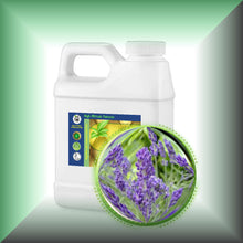 Lavender Essential Oil *Kashmir* (Lavendula Augustifolia)