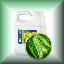 Lemongrass Essential Oil (Cymbopogon Flexuosum)