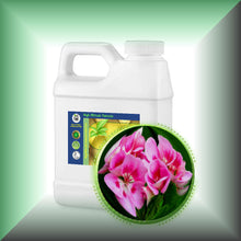 Geranium (Pelargonium Graveolens) Essential Oil