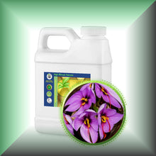 Saffron Absolute Essential Oil (Crocus sativus)