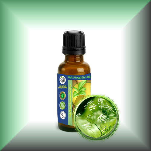 Anis Seed Essential Oil (Aniseed, Pimpinella Anisum)