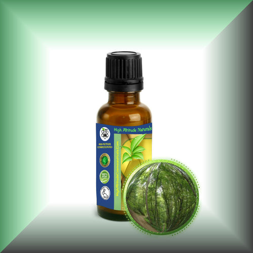 Birch *Black, Sweet* Bark Essential Oil (Betula Lenta)