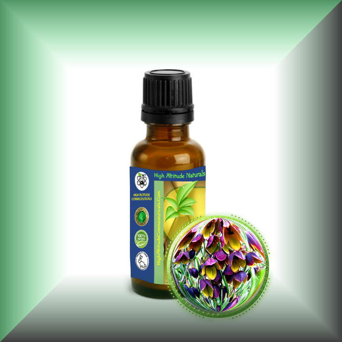 Boronia Absolute Oil (Boronia Megastigma)