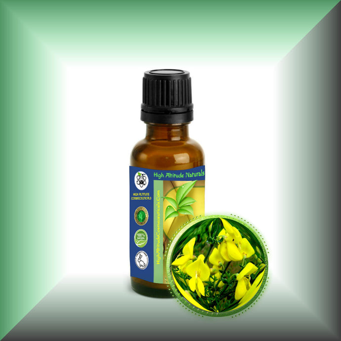 BROOM (GENET) Absolute Oil (Spartium Junceum)