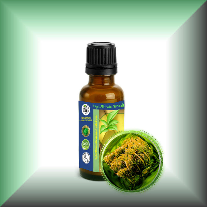 Carrot Seed Essential Oil (Daucus Carota) *Very High Carotol 70%*