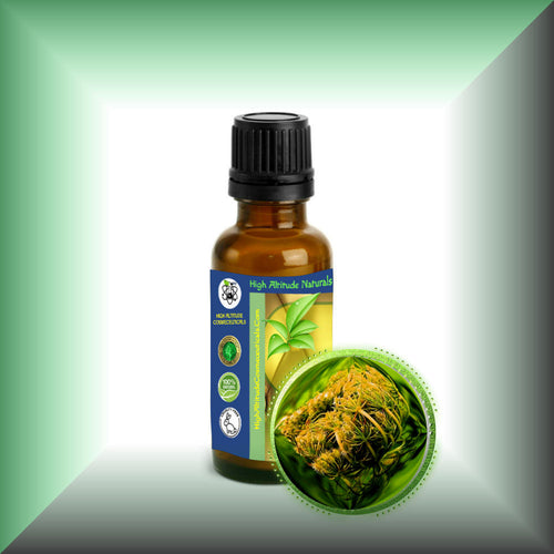 Carrot Seed Essential Oil (Daucus Carota) *High Carotol 40%*
