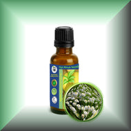 Chamomile Essential Oil *Roman* (Anthemis Nobilis)