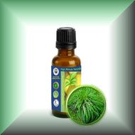 Citronella (Java, Cymbopogon Winterianus) Essential Oil