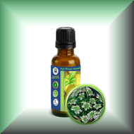 Cumin Essential Oil (Cuminum cyminum)