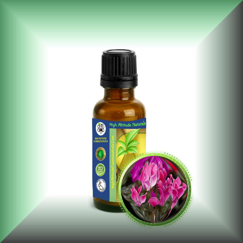 Cyclamen Absolute (Cyclamen Europeum) Oil